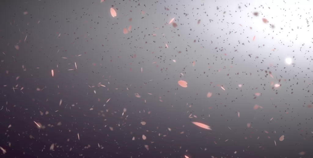 浪漫3D樱花漫天飞舞特效+个人引导页特效+爱心特效-心云博客