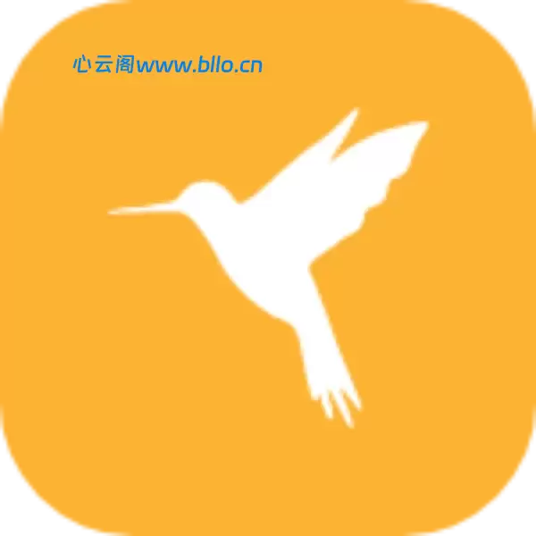 Reqable_3.2.4小黄鸟抓包软件-心云阁