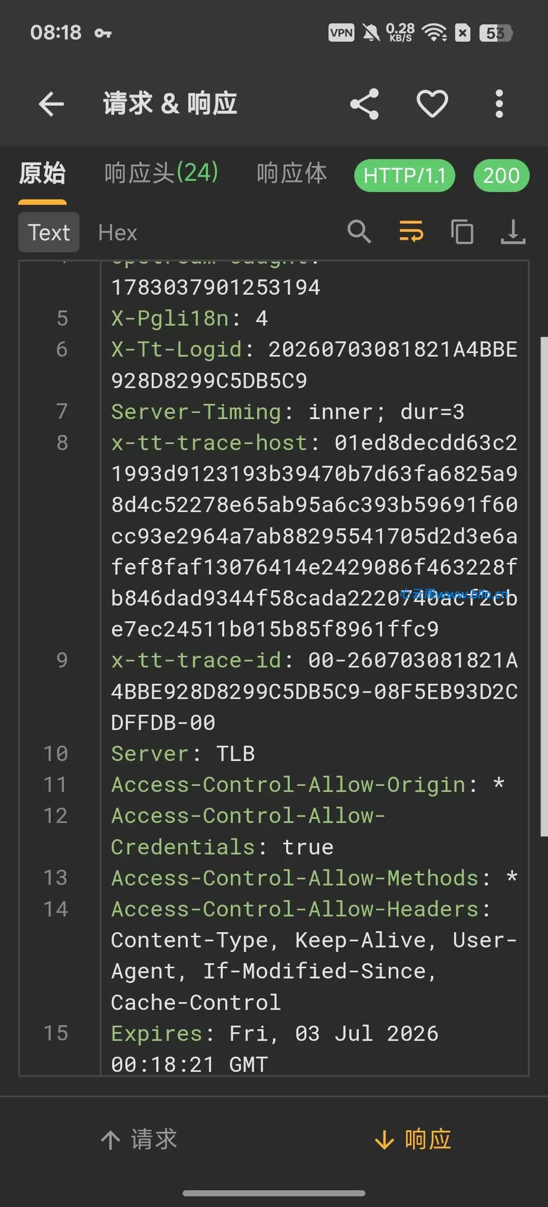 20260705225423405-1783263188916